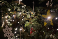 Obrazek-WhatsApp-2025-12-07-v-19.46.36_b486f679